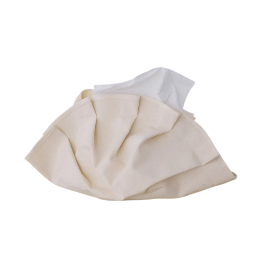 Big Dumpling Tissue Cover